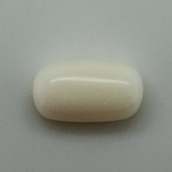 White Coral (Safed Moonga) 5.15 Ct Good Quality